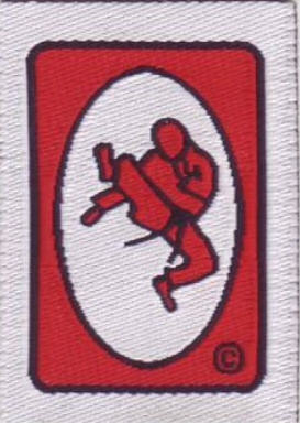 Jumping front kick